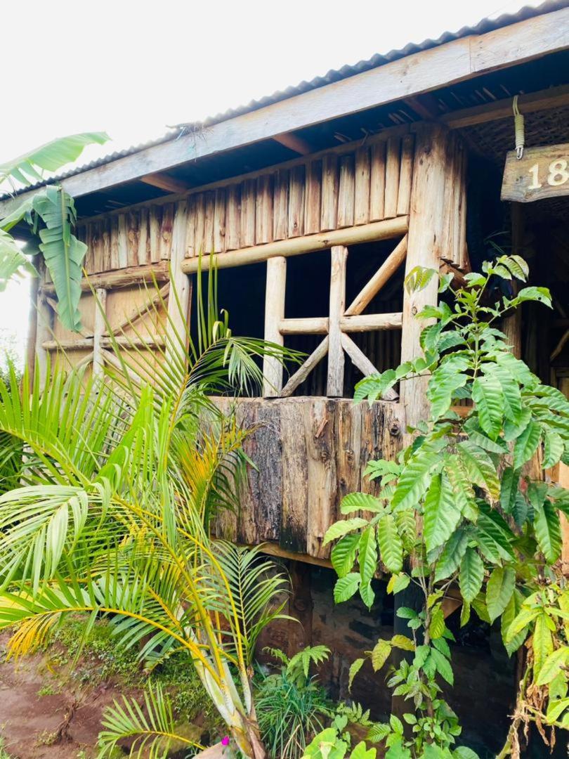 Rock Garden Sipi Hotel Kapchorwa Bagian luar foto